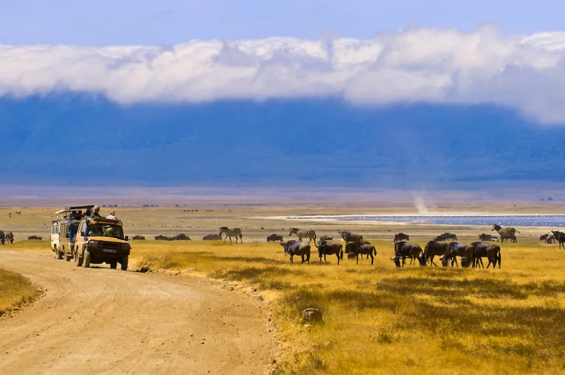 Ngorongoro Conservation Area